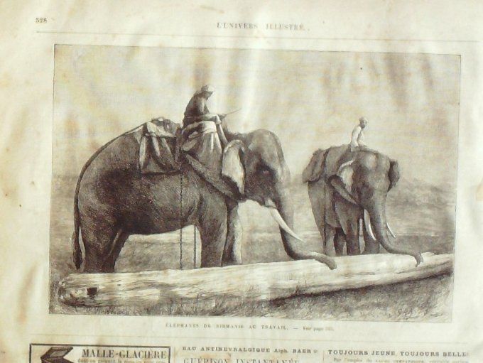 L'Univers illustré 1874 #1012 Kirghizistan à  Kirghiz Birmanie éléphant Espagne Tolosa carlistes