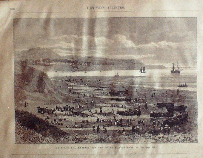 L'Univers illustré 1874 #1020 Sens (89) Maquignon Fontaine Suisse Rigi Angleterre Pêche Hareng Espag