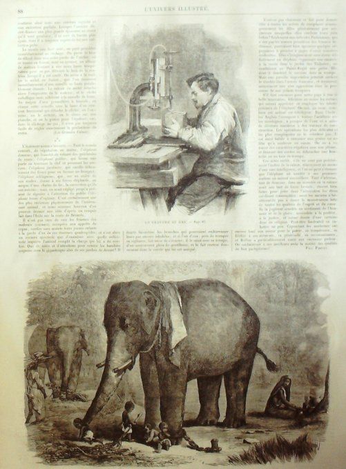 L'Univers illustré 1864 # 300 Mexico L'éléphant gravure à gaz