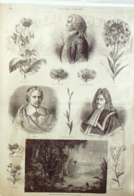 L'Univers illustré 1864 n° 392 Jacques Offenbach Guyane Cour Henri III d'Angleterre Noël