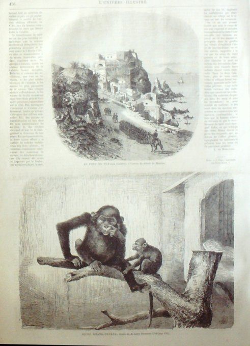 L'Univers illustré 1865 # 411 Italie Calabre Scylla Allemagne Francfort Gèdre (65)