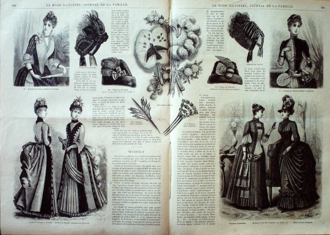 Journal Mode illustrée 1886 # 46 Robe en cachemire