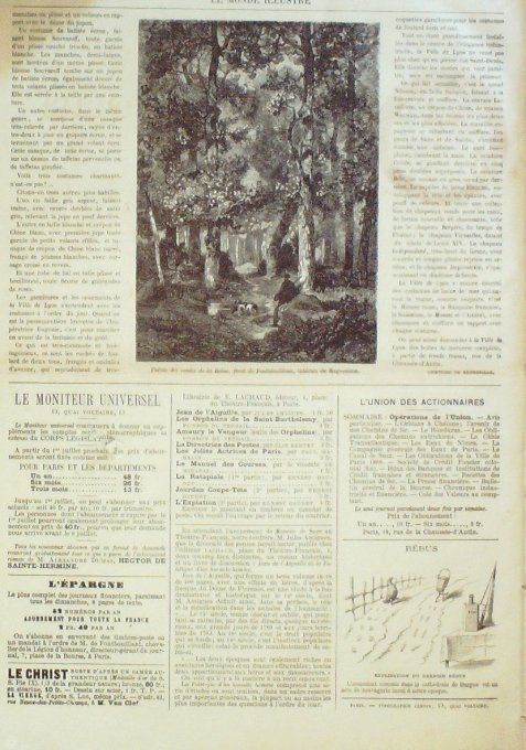 Le Monde illustré 1869 n°637 Turin Prince Carignan Brest Minon Bohémiens