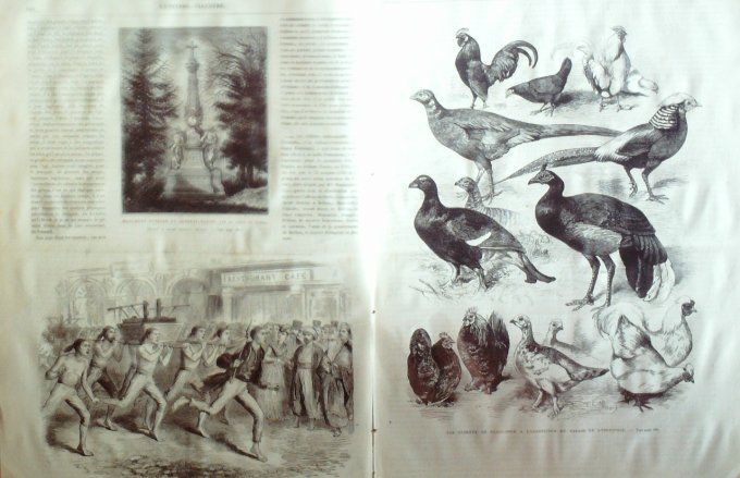 L'Univers illustré 1874 # 986 Mulhouse Cannes Herblay Russie Tsarskoe-Selo     