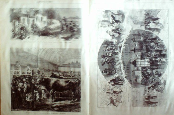 L'Univers illustré 1874 # 986 Mulhouse Cannes Herblay Russie Tsarskoe-Selo     