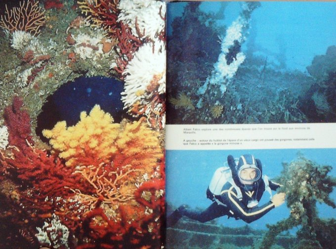 COUSTEAU-MEMOIRES de FALCO-Ph DIOLE (Edit Flammarion) 1976